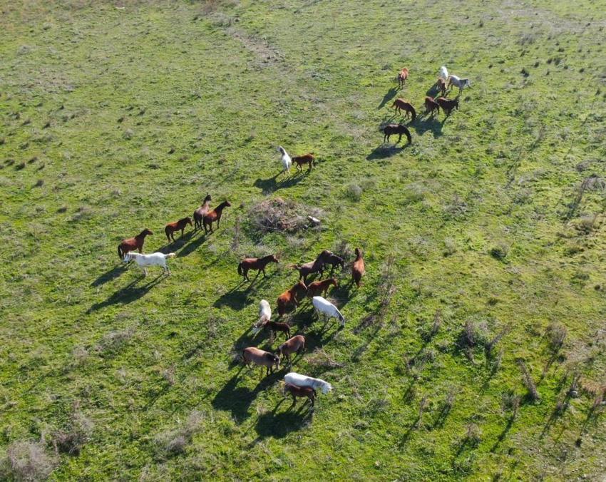 İzmir’de barajlardaki su tükendi: Kesintiler artık her gün uygulanacak