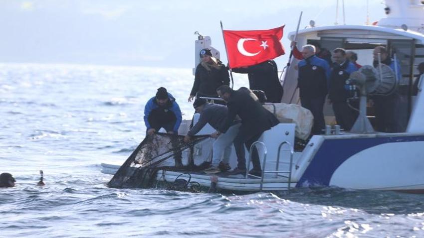 11 yılda 2,9 milyon metrekarelik sessiz katil denizden çıkarıldı!