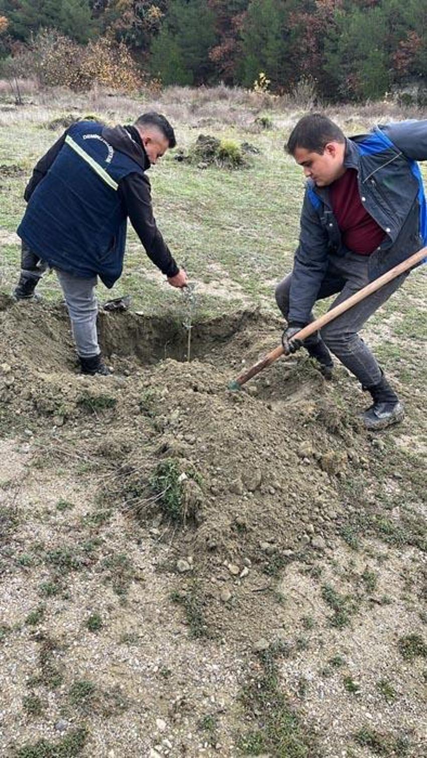 Manisa Demirci’de atıl araziler tarıma kazandırılıyor