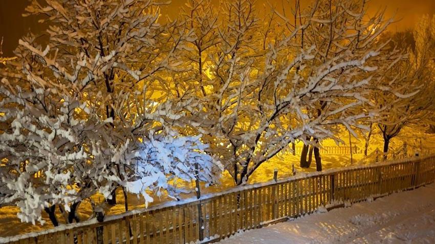 Bitlis’te karla karışık yağmur Ahlat’ta yoğun kar yağışına dönüştü