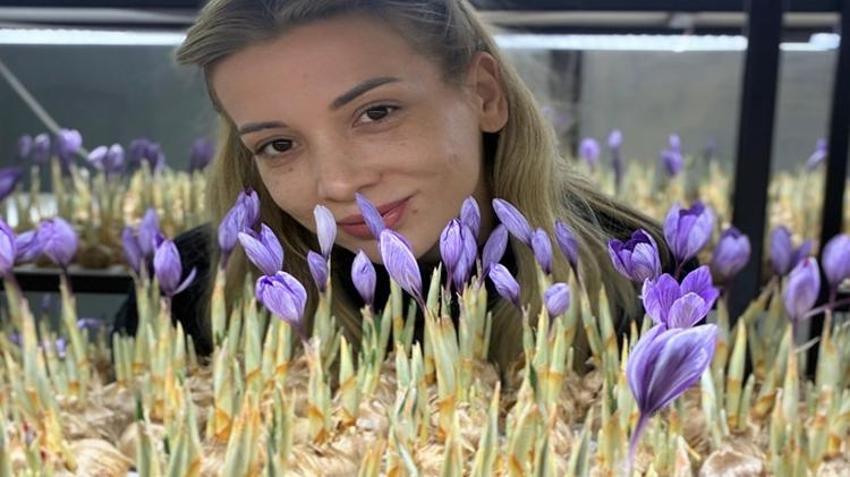 Mali müşavirliği bıraktı, 50 metrekare alanda servet üretiyor! Gramı 700 lira: Tek tek el ile koparılıyor