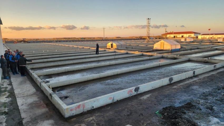 Çanakkale'de 10 yıllık AR-GE sonucu kuruldu! Türkiye'de tek: Yıllık 35 ton üretiyorlar