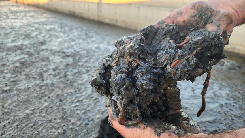 Çanakkale'de 10 yıllık AR-GE sonucu kuruldu! Türkiye'de tek: Yıllık 35 ton üretiyorlar