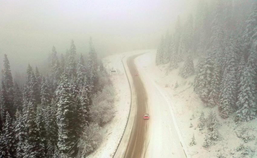 Kastamonu'da kar ve sis Ilgaz Dağı'nı beyaz cennete çevirdi