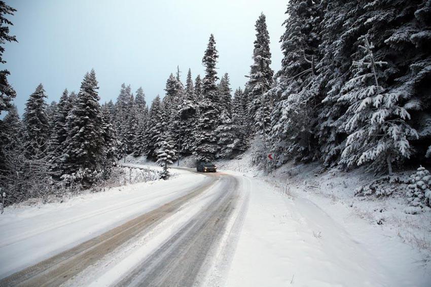 Kastamonu'da kar ve sis Ilgaz Dağı'nı beyaz cennete çevirdi