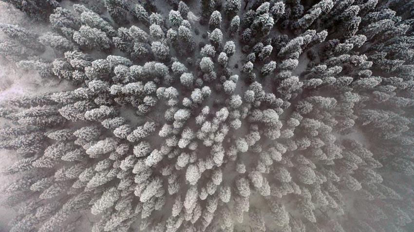 Kastamonu'da kar ve sis Ilgaz Dağı'nı beyaz cennete çevirdi