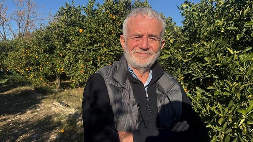 Bodrum mandalinasında fiyat uçurumu! Bahçede 15 TL'den satılıyor