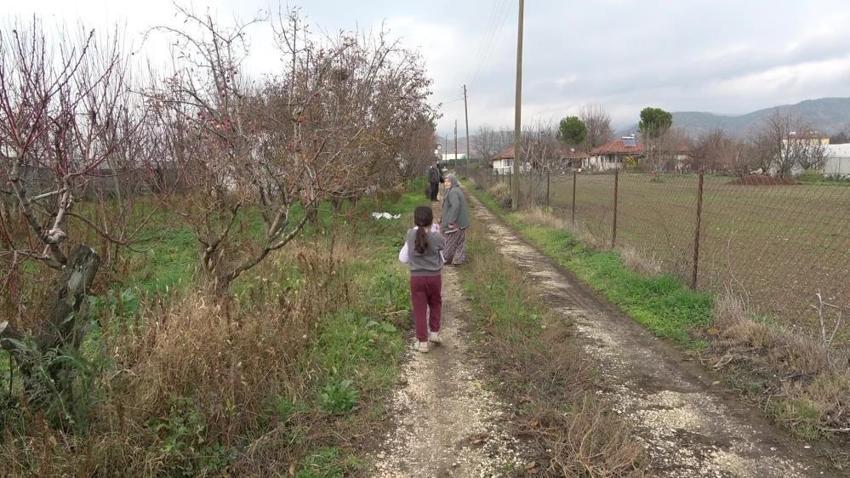 Amasya'da eşi bir söz söyledi, 75 yaşında sera kurdu! Hasat evinin önünde başladı