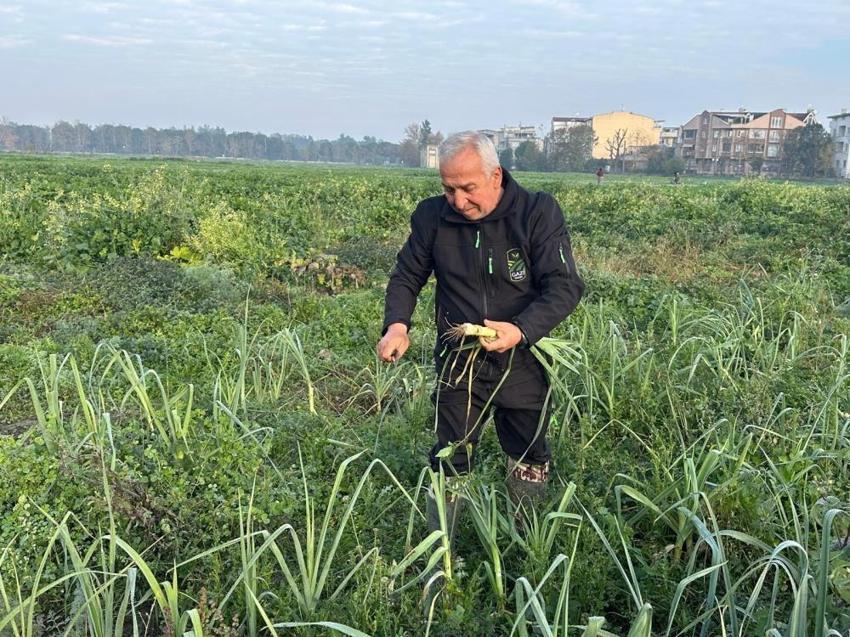 Bursa'da örnek tarım projesi! Tarımsal ilaç kullanılmadan ata tohumundan üretilen sebzeler sofralara geliyor