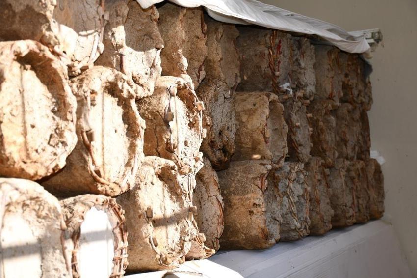 Şırnak'ta üretimde yeni yöntem! Misafir odasını onlara tahsis etti: Verim kat kat arttı