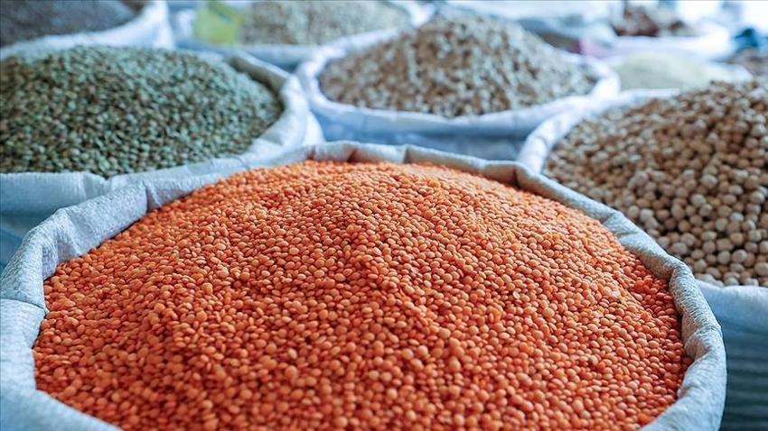 Şanlıurfa'da buğday, mısır, arpa ve mercimek alım fiyatı ne kadar? Şanlıurfa hububat alım fiyatları güncellendi
