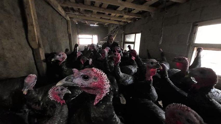 Asgari ücretle çalışmayı reddedip İstanbul'u terk etti! 2 bin TL sermayeyle başlayıp köyünü ürettim üssüne çevirdi