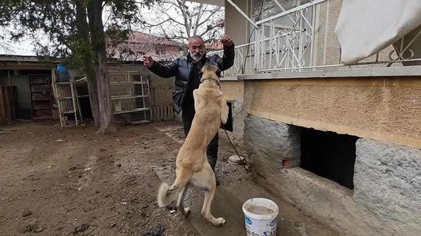 Asgari ücretle çalışmayı reddedip İstanbul'u terk etti! 2 bin TL sermayeyle başlayıp köyünü ürettim üssüne çevirdi