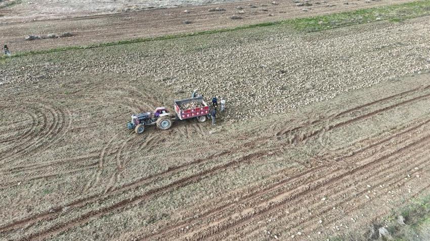 Malatya'da bir dönem kapandı: Üreticinin karı netleşti!