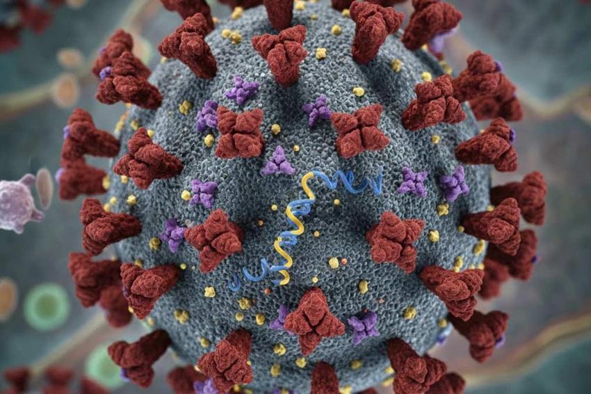 7 mutasyonlu H3N2 virüsü nedir? Türkiye'ye geldi mi? Belirtileri ve bulaşma hızı açıklandı!