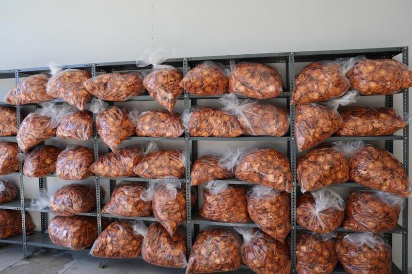 Adana'da tesisini kurdu, Almanya'ya ihracatını yaptı! Evde 50 TL, güneş altında 500 TL!