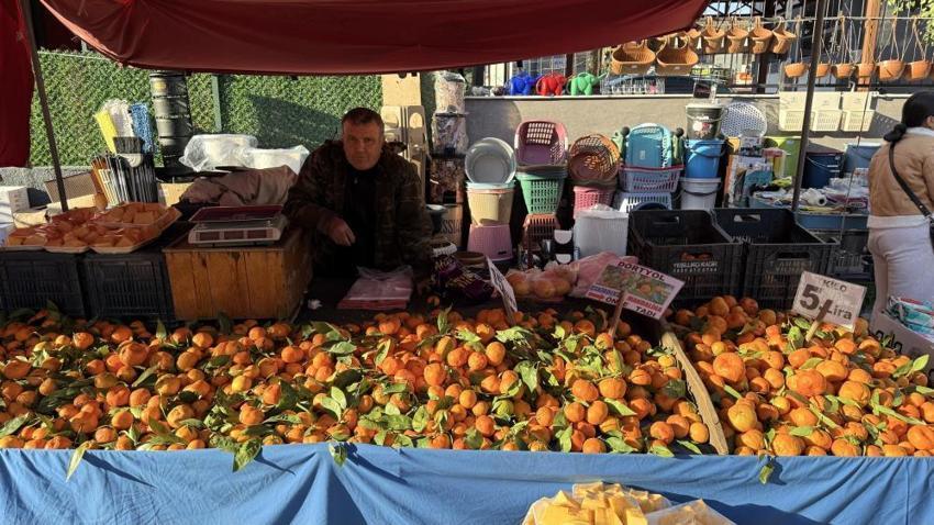Adana'da dalında kaldı, 15 liradan 3 liraya düştü: Çiftçi ürünü toplayamıyor!