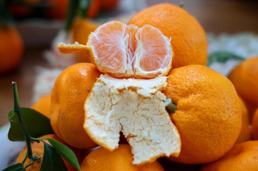 Adana'da dalında kaldı, 15 liradan 3 liraya düştü: Çiftçi ürünü toplayamıyor!