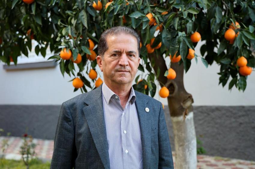 Adana'da dalında kaldı, 15 liradan 3 liraya düştü: Çiftçi ürünü toplayamıyor!