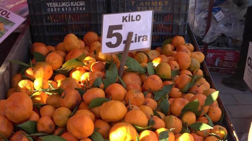 Adana'da dalında kaldı, 15 liradan 3 liraya düştü: Çiftçi ürünü toplayamıyor!