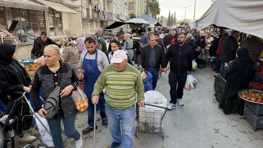 Adana'da dalında kaldı, 15 liradan 3 liraya düştü: Çiftçi ürünü toplayamıyor!