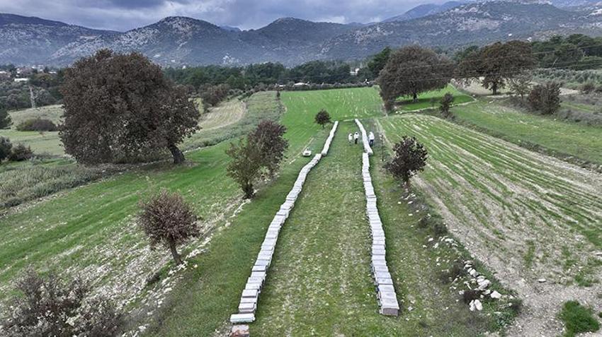 Erkek işi dediler ama o vazgeçmedi! Muğla'da genç kadın baba mesleğini devraldı, köyünde üretmeye başladı