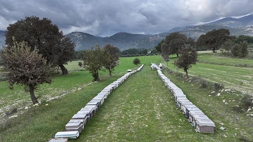 Erkek işi dediler ama o vazgeçmedi! Muğla'da genç kadın baba mesleğini devraldı, köyünde üretmeye başladı