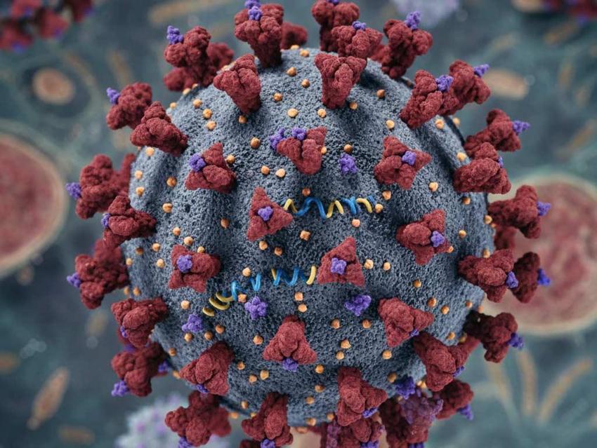 7 mutasyonlu H3N2 virüsü nedir? Türkiye'ye geldi mi? Belirtileri ve bulaşma hızı açıklandı!