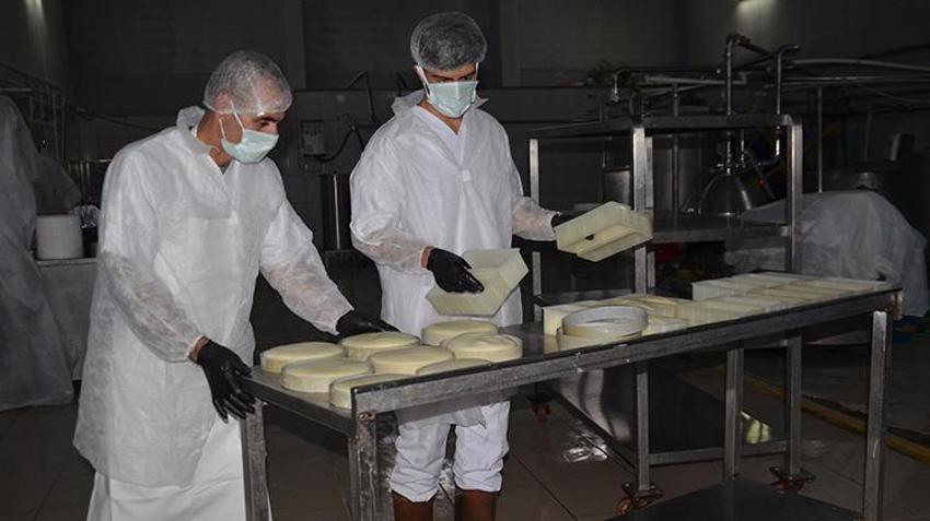 Muşlu kadın devlet desteğini aldı üretime başladı! Karadeniz'e kadar ürünlerini gönderiyor