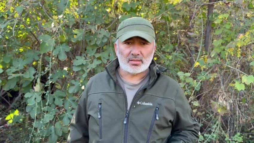 Denizli'de barınak dehşeti! Köpekler açıktan birbirini yedi