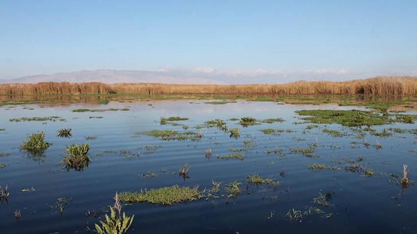 Eber Gölü alarm veriyor! Hiçbir canlı kalmadı, yaşam tamamen bitti