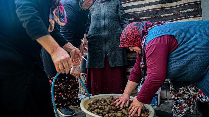 Bursa'da devlet desteğiyle kazanlar kaynamaya başladı! Erkekler ormandan topluyor kadınlar kaynatıyor