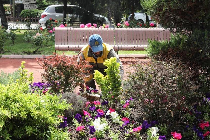 Ankara'da belediye mahalleye kurdu, tüm ilçeye ekiliyor! Mahalleliye ek gelir kapısı oldu