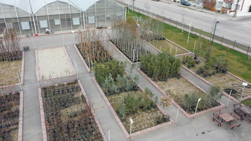 Ankara'da belediye mahalleye kurdu, tüm ilçeye ekiliyor! Mahalleliye ek gelir kapısı oldu