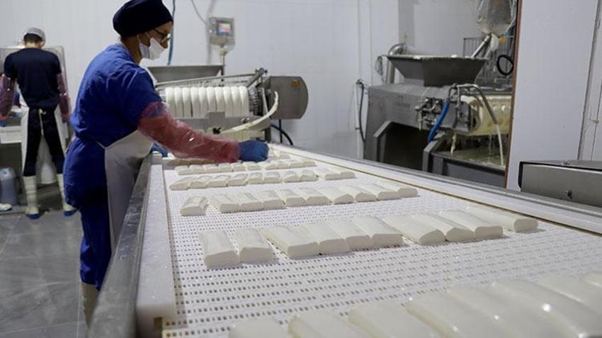 Hataylı girişimci kadının hayatı depremden sonra değişti! Bölgenin ürünlerini 81 ile gönderiyor