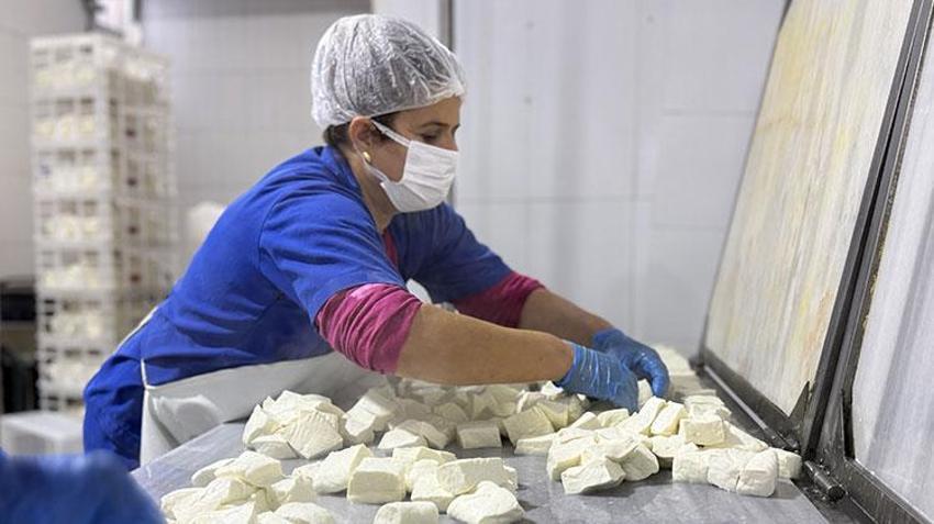 Hataylı girişimci kadının hayatı depremden sonra değişti! Bölgenin ürünlerini 81 ile gönderiyor