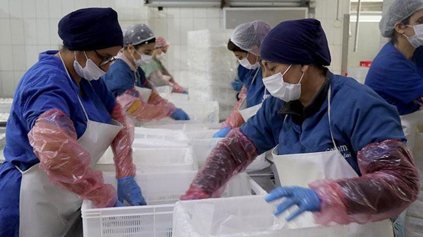 Hataylı girişimci kadının hayatı depremden sonra değişti! Bölgenin ürünlerini 81 ile gönderiyor