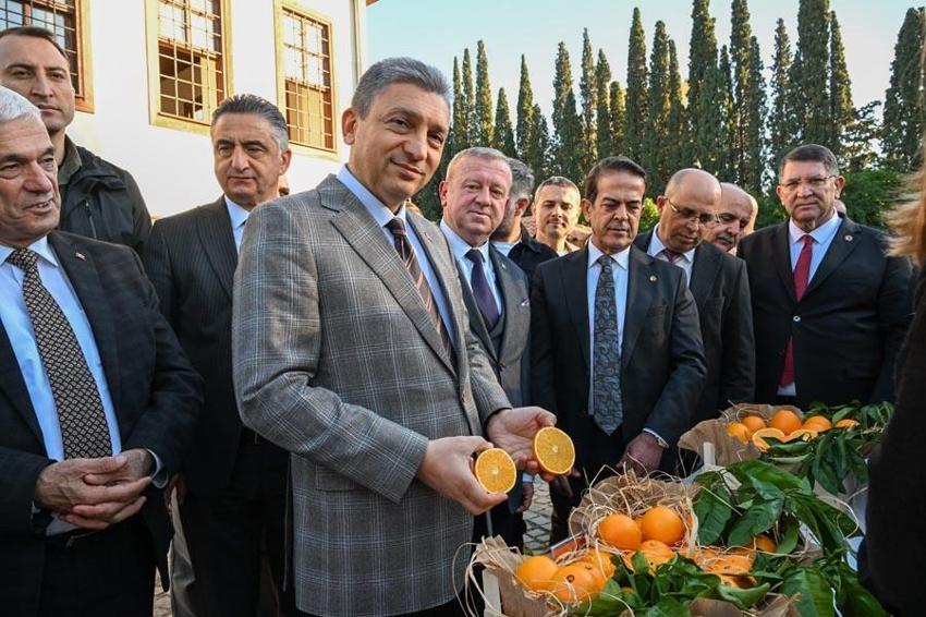 Antalya portakalları tescillenip dünya pazarında yerini aldı