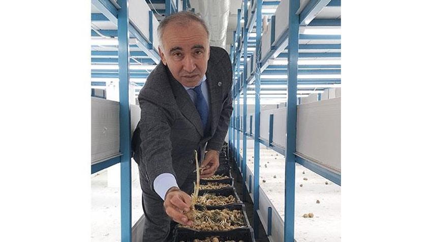 Antalya'da mali müşavir devlet desteğiyle üretime başladı! Ürünün kilosunu 650 bin TL'ye satıyor