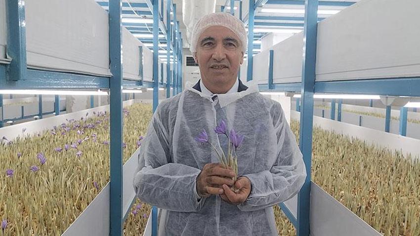 Antalya'da mali müşavir devlet desteğiyle üretime başladı! Ürünün kilosunu 650 bin TL'ye satıyor