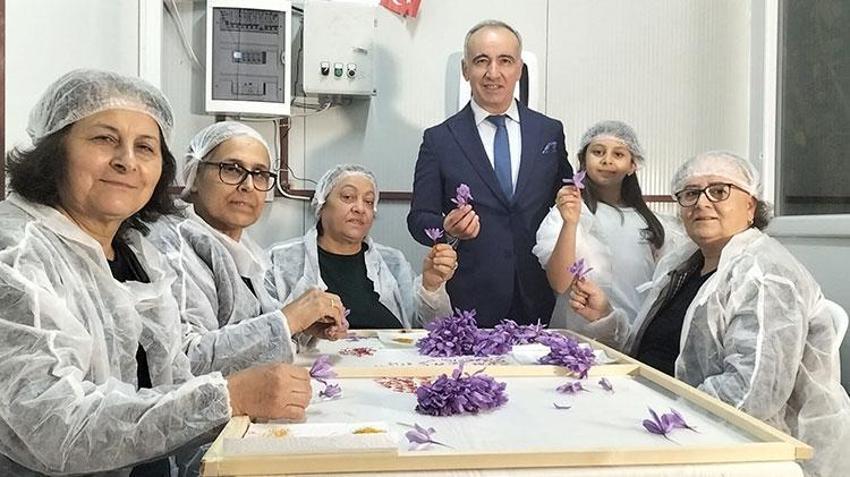 Antalya'da mali müşavir devlet desteğiyle üretime başladı! Ürünün kilosunu 650 bin TL'ye satıyor