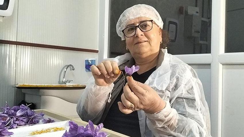 Antalya'da mali müşavir devlet desteğiyle üretime başladı! Ürünün kilosunu 650 bin TL'ye satıyor