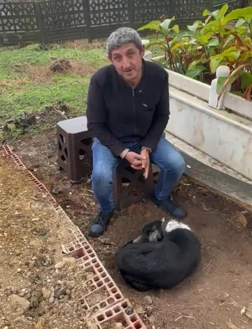 Samsun'da sadık köpek sahibini mezarda da yalnız bırakmıyor! Görenleri duygulandıran manzara