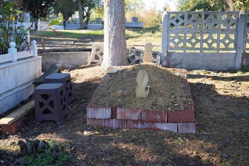 Samsun'da sadık köpek sahibini mezarda da yalnız bırakmıyor! Görenleri duygulandıran manzara