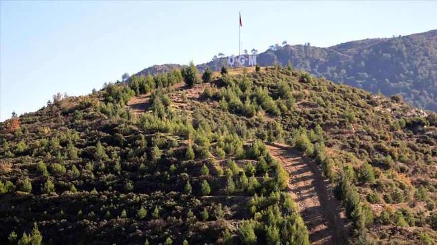 Kara tablo 6 yılda tamamen değişti! Dalaman'da yanan alanlar tekrar yeşerdi