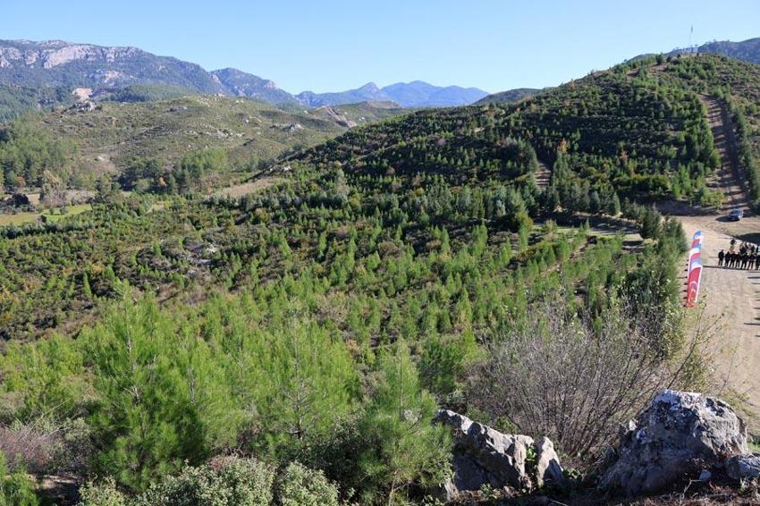 Kara tablo 6 yılda tamamen değişti! Dalaman'da yanan alanlar tekrar yeşerdi