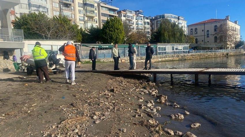 Sinop’ta vatandaşları endişelendiren görüntü! Deniz yüzeyinde ortaya çıktı
