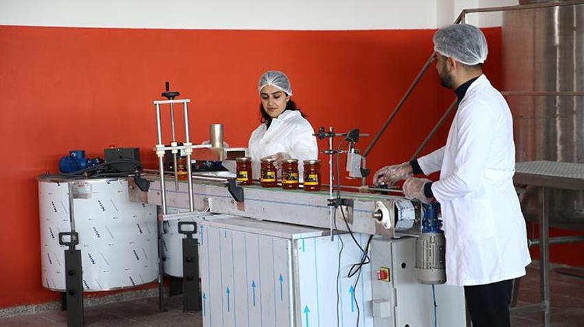Van'da 75 yıldan beri aynı işi yapan aile devlet desteğiyle tesis kurdu! Dubai'ye 16 tondan fazla ihracat yaptı
