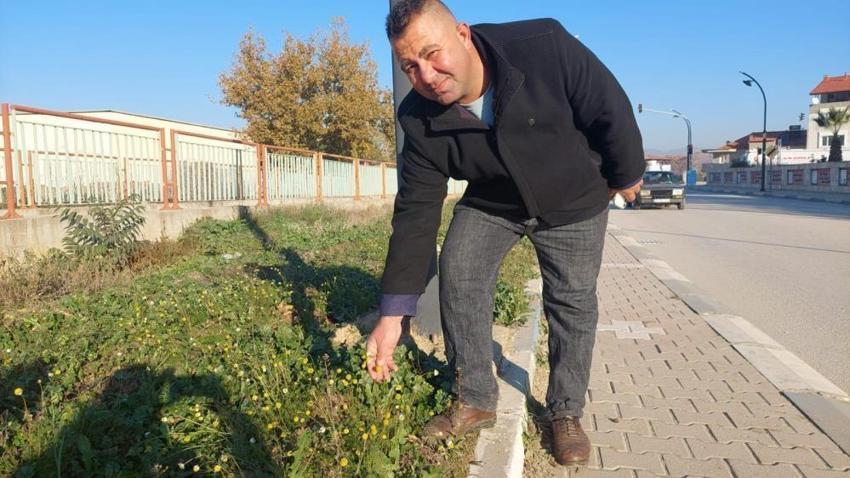Manisa'da zemheri günlerinde şaşkına çeviren görüntü! Görenler gözlerine inanamadı