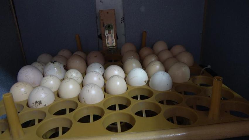 Maddi imkansızlık sebebiyle hayalini ertelemek yerine mühendislik bilgisini konuşturdu! Atık malzemelerden kendi makinesini üretti, kendi fabrikasını kurdu